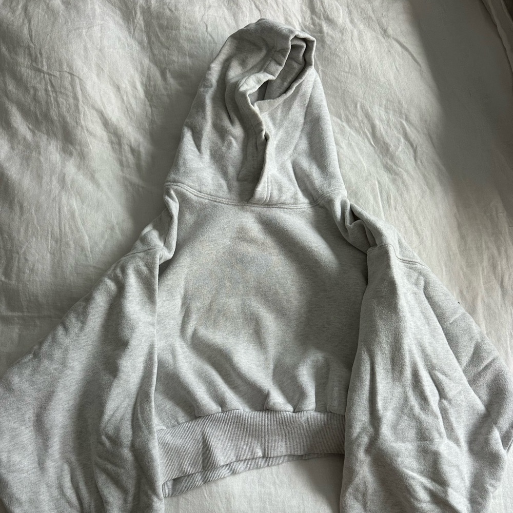 Aritzia Cropped Hoodie
